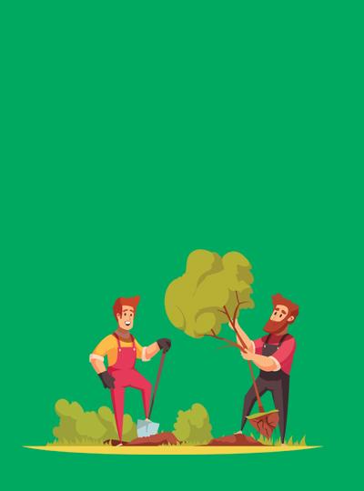 Plant Health